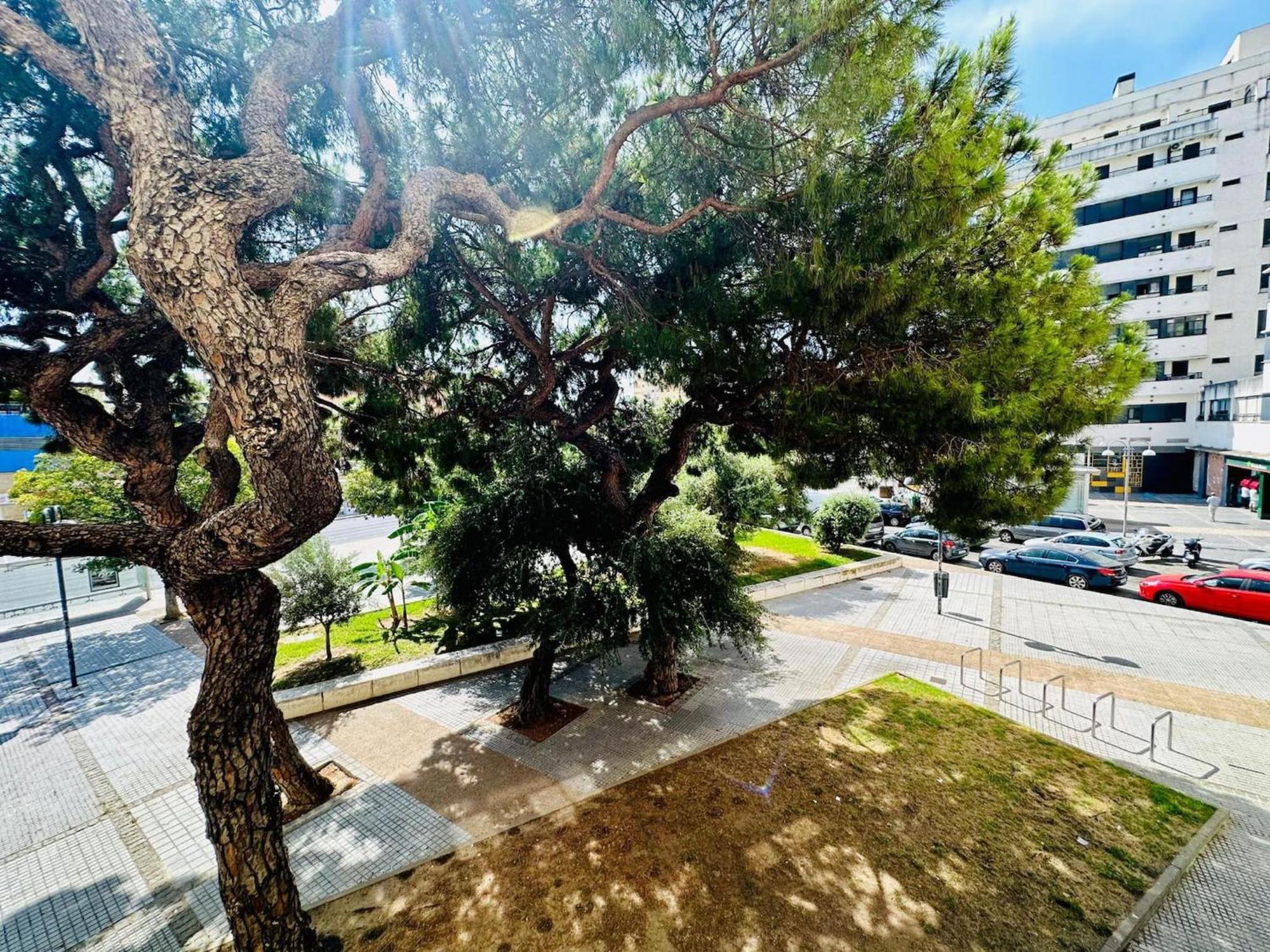 カディスAvenida Portugal Con Ascensor Grupo Ac Gestionアパートメント エクステリア 写真